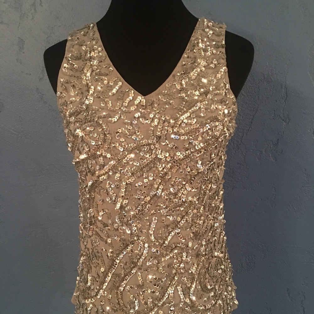 Lapis Silver Sequin Top